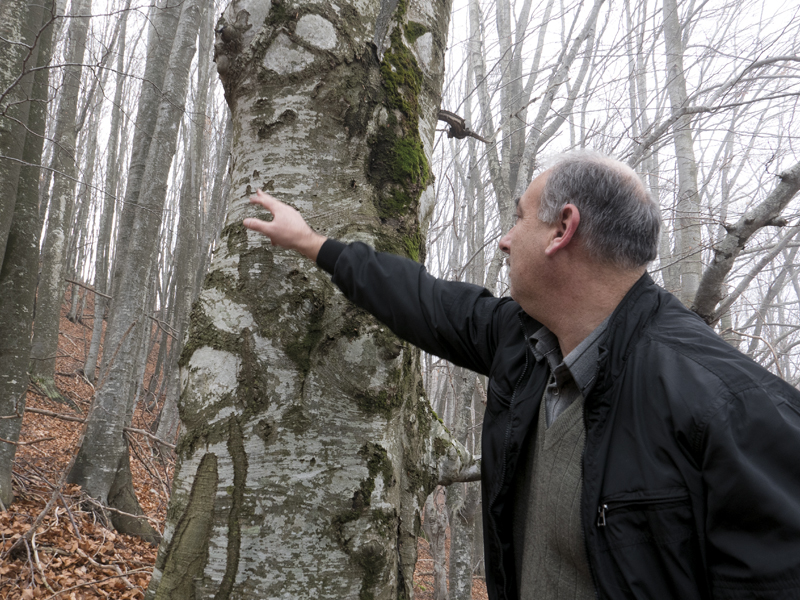 Bone Tree, Bulgaria