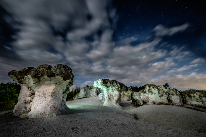Stone Mushrooms bulgaria