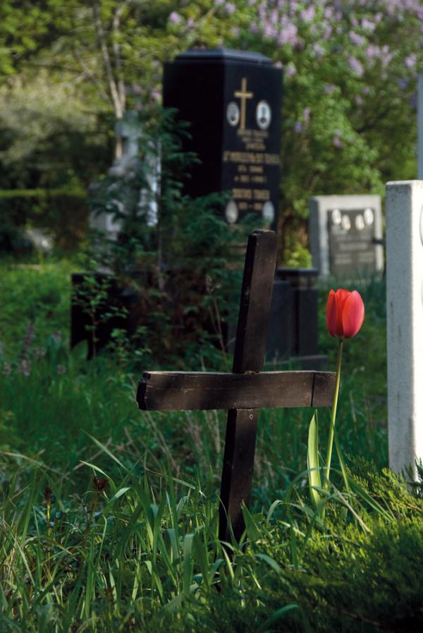 sofia central cemetery 6.jpg