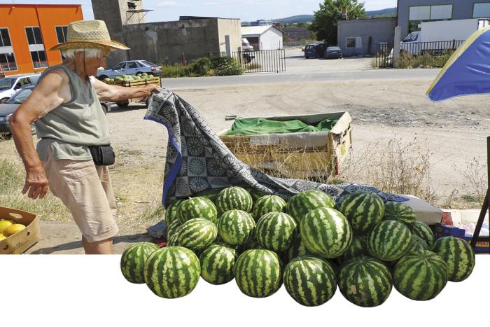 watermelon bulgaria.jpg 