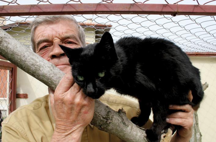 Comfort and security for pets are paramount for Dave