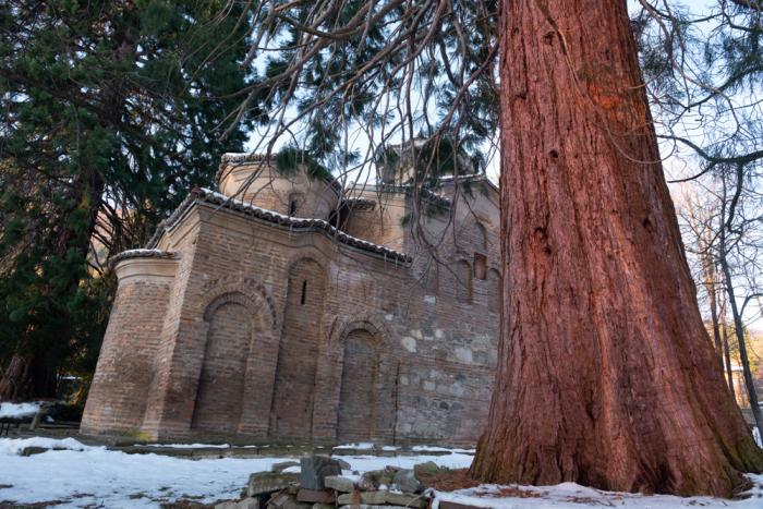 boyana church sequoia