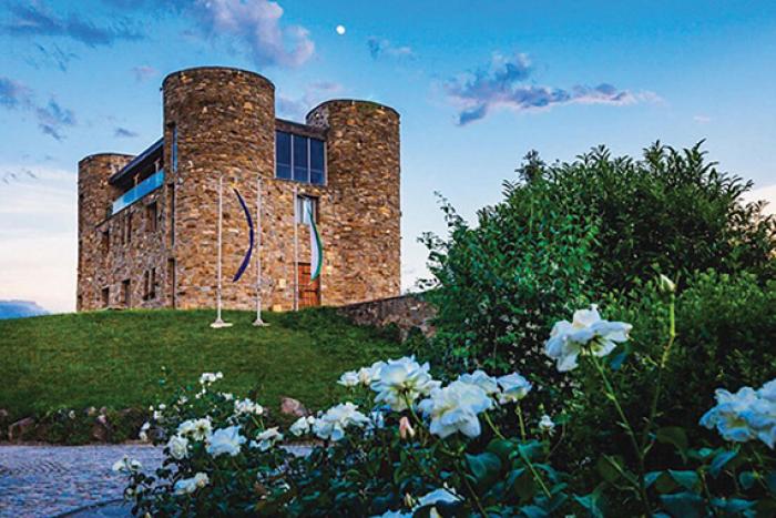 chateau copsa.jpg