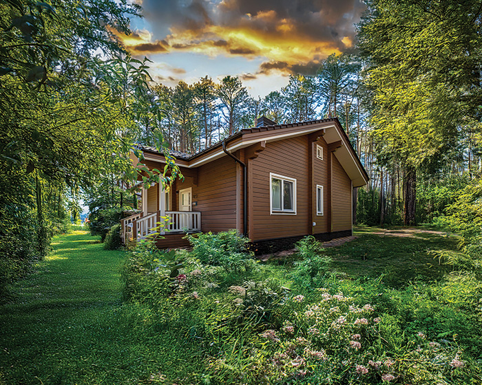 log homes pro.jpg 