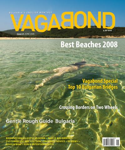 VB21_cover.jpg