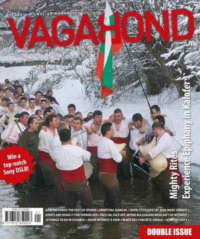 VB28-29_cover.jpg