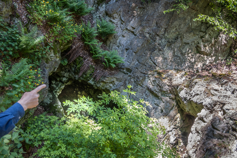 If the light falls at a specific angle and you squint really hard, you might discern a cat face in the rock over the cave's flooded entrance