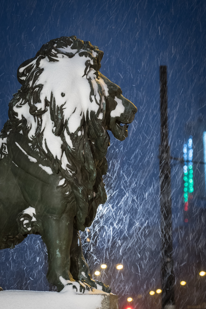 In 2010, the tail of one of the lions was cut for scrap metal. It was later restored