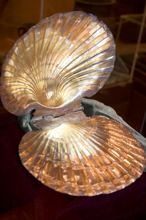 Silver shell