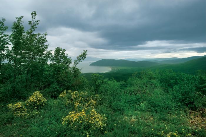 Lake Prespa