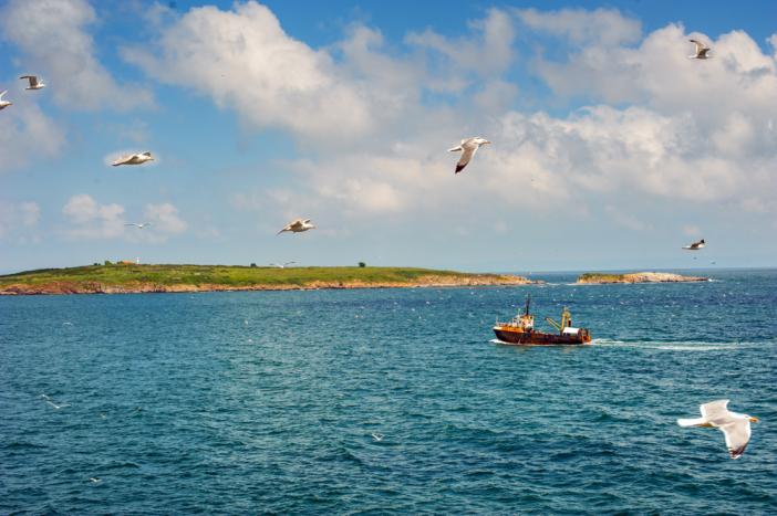 St Petar Island