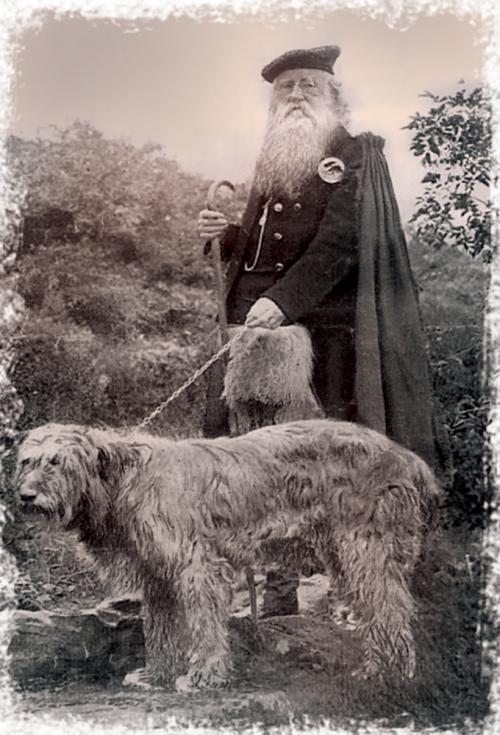Pierce O'Mahony
