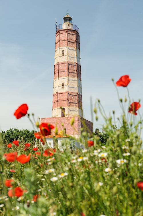 shabla lighthouse