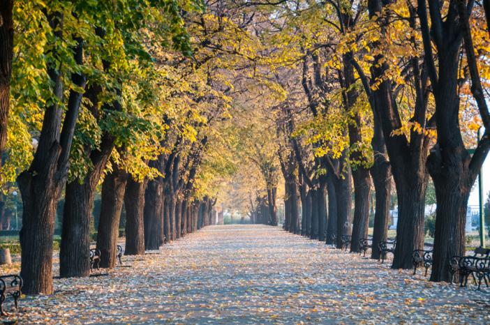 vidin riverside park