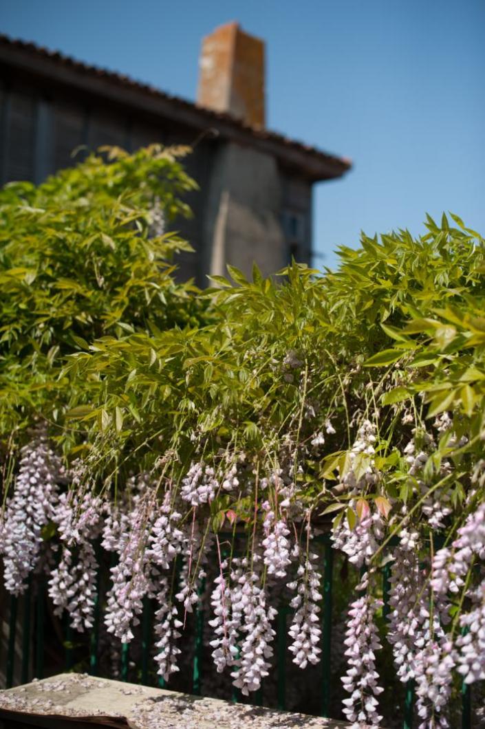 Sozopol in spring