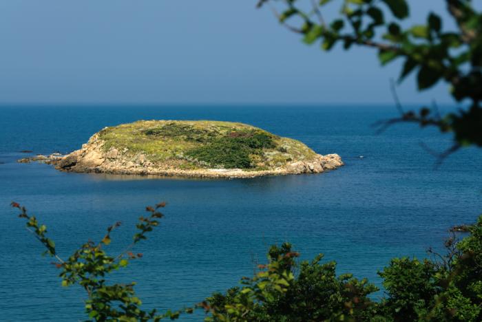 The other Snake Island