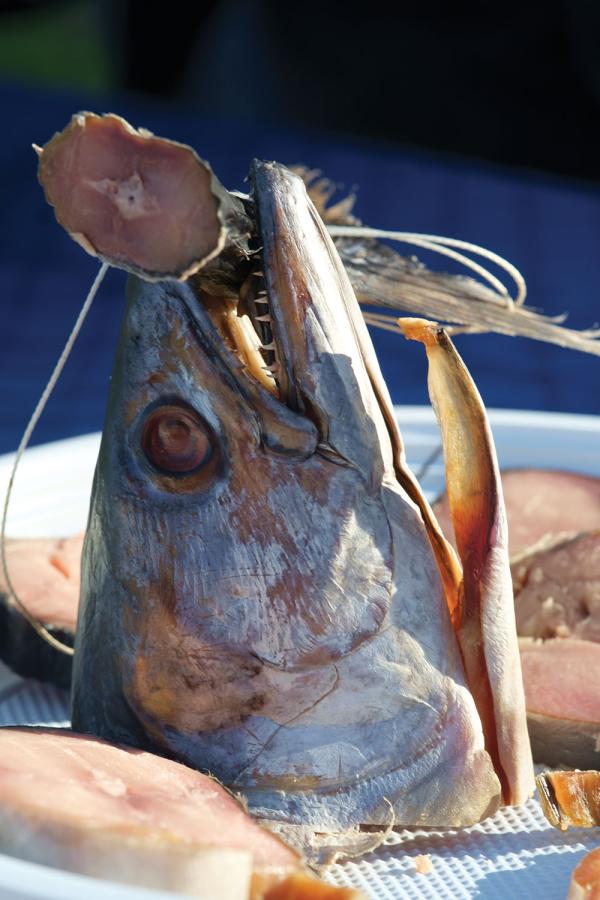 fish