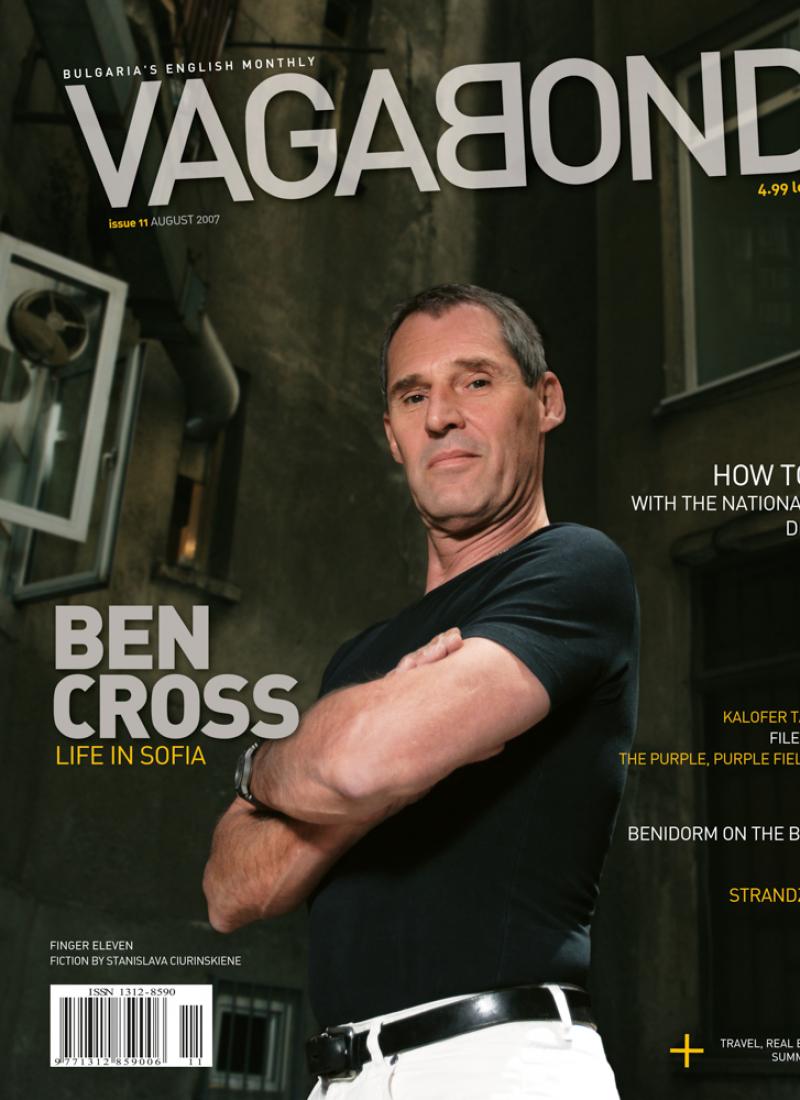 VB11_cover.jpg