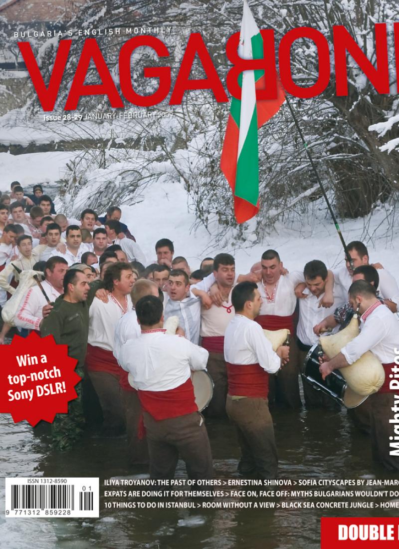 VB28-29_cover.jpg
