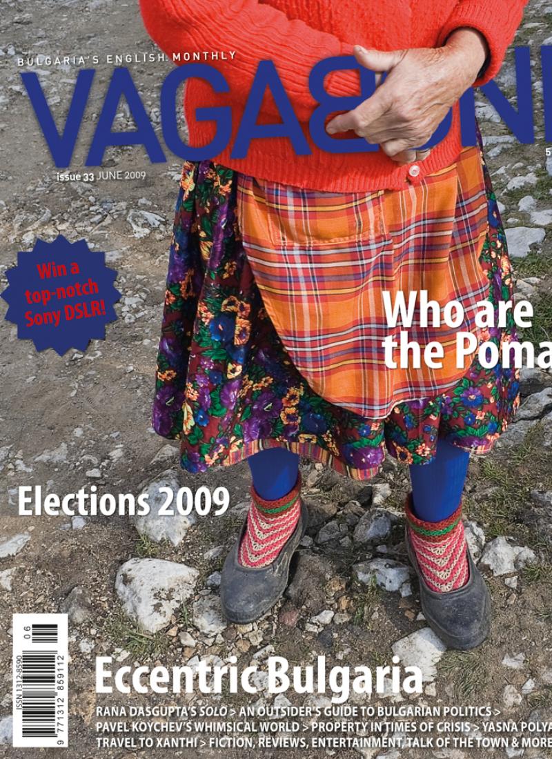 VB33_cover.jpg