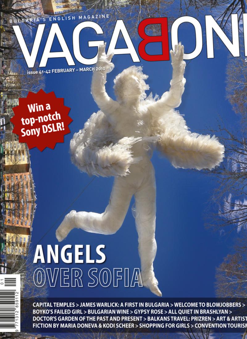 VB41-42_cover.jpg