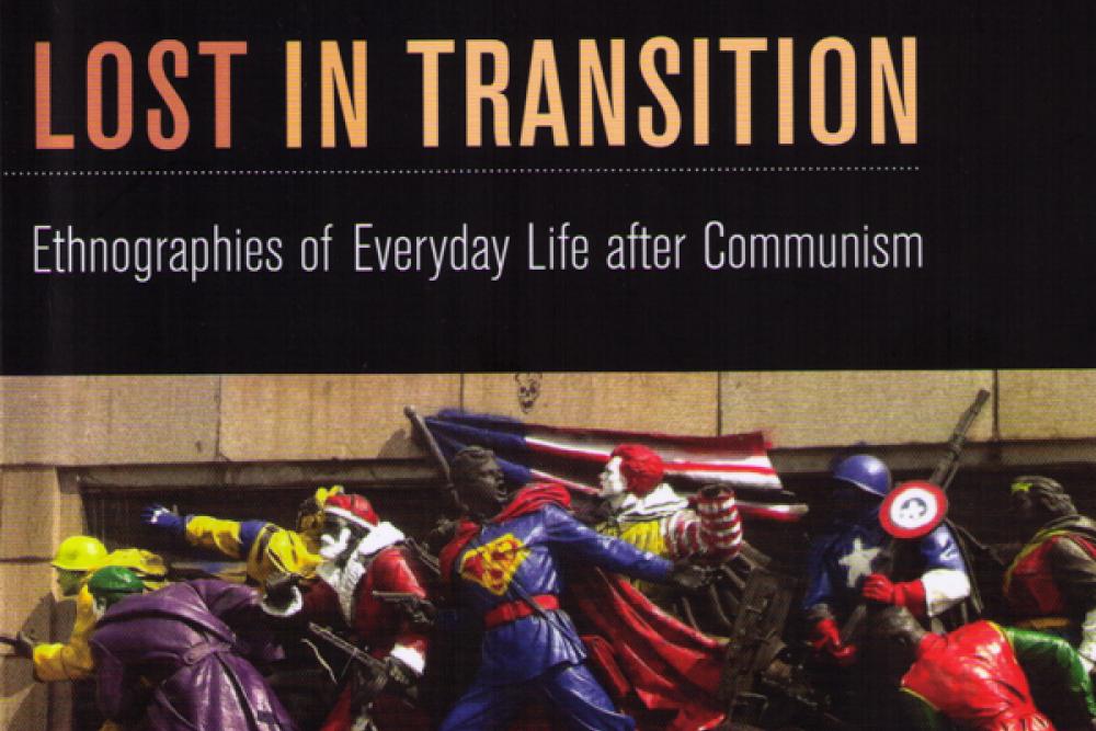 lost in transition.jpg