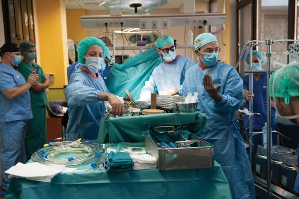 central vet clinic surgery.jpg