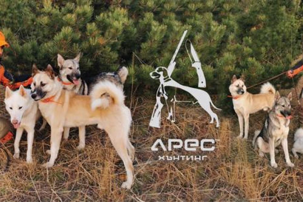 Ares hunting.jpg