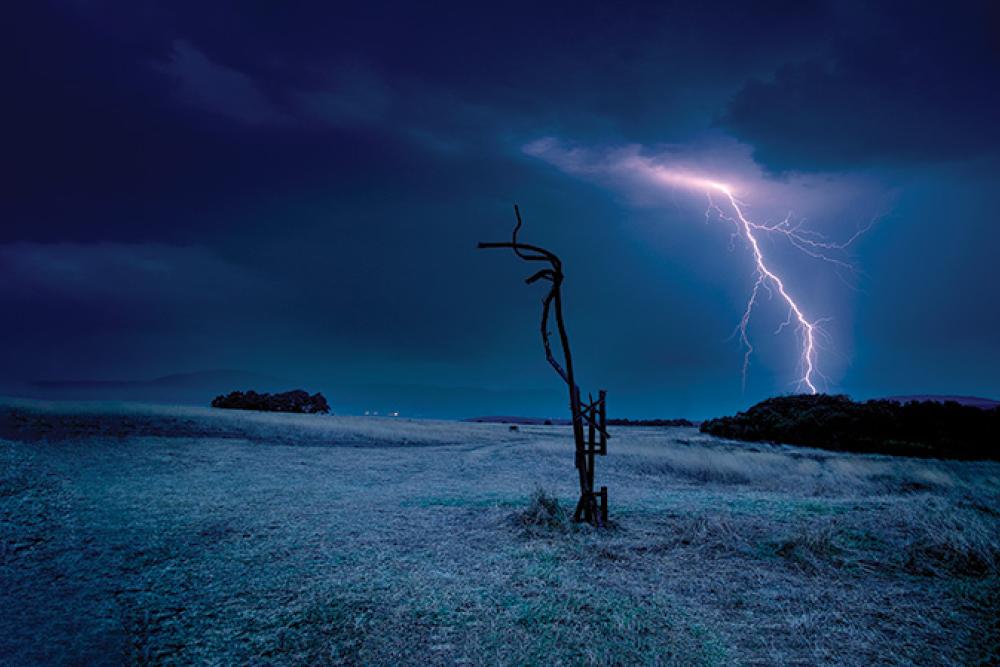 iron tree bulgaria 4.jpg