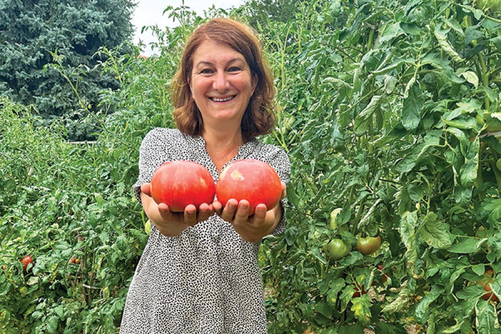 bulgarian tomato 2.jpg
