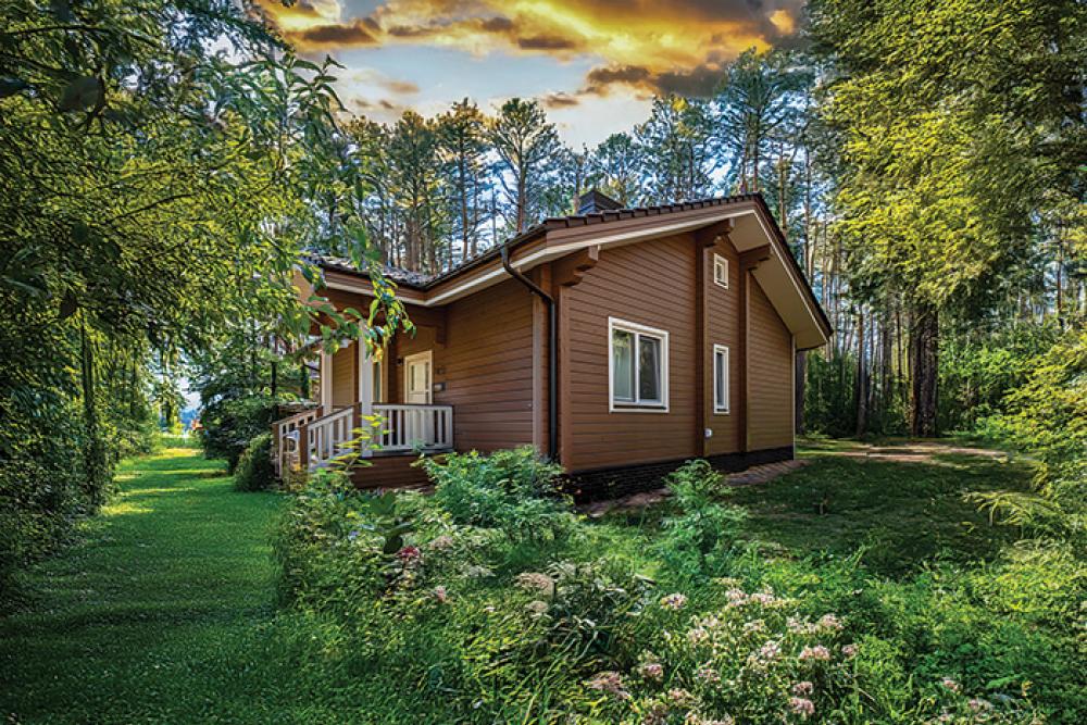 log homes pro.jpg 