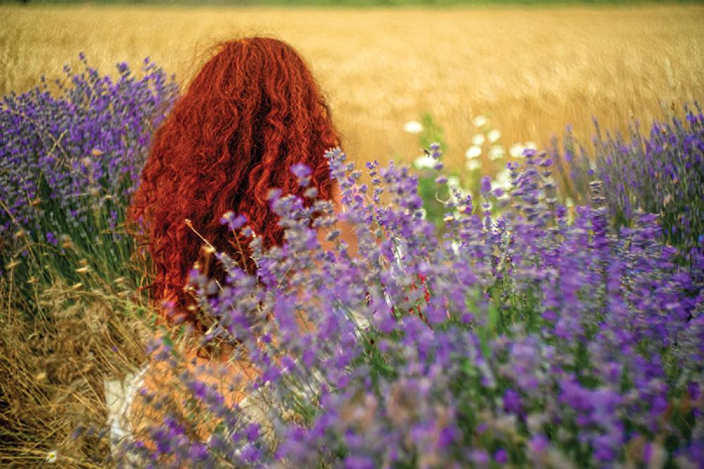 lavender bulgaria 3.jpg 