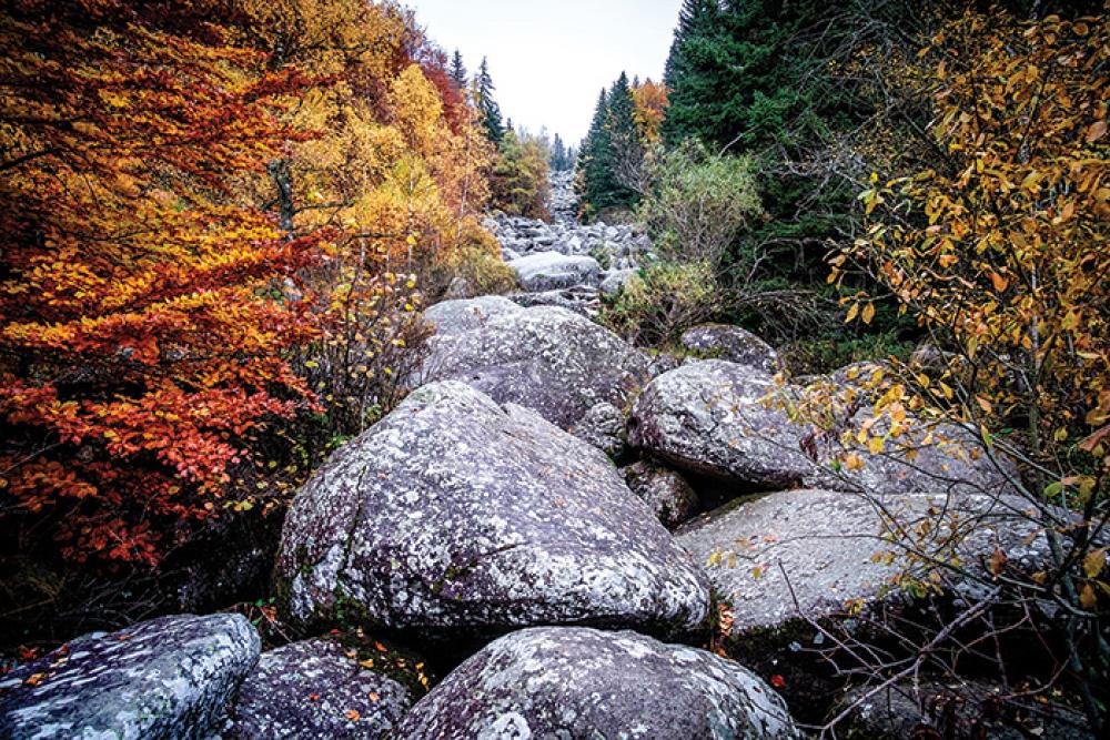 vitosha golden bridges_0.jpg 