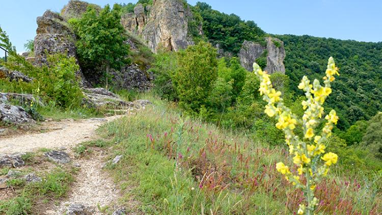 Ivanovo rock churches.jpg 