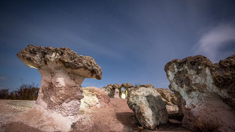 Beli Plast stone mushrooms 2.jpg