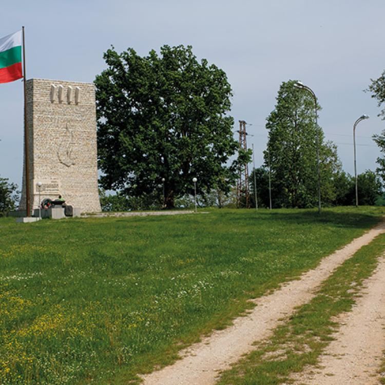 Petrova Niva 2.jpg 